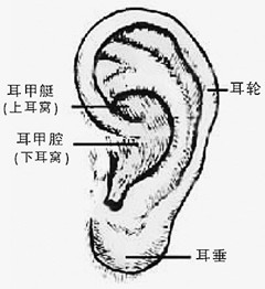 “仓眼”其实就是耳前瘘管