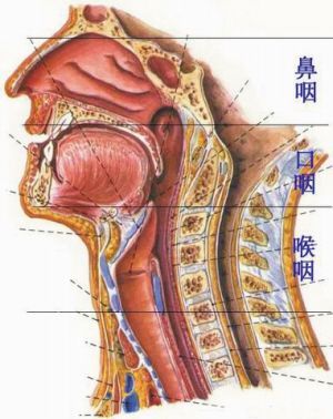 软腭下垂该如何治疗?